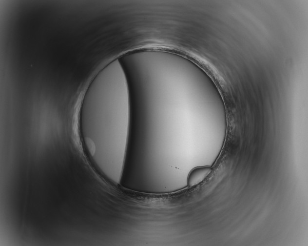 X0000088061375200705110905