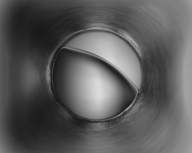 X0000088061376200705110905