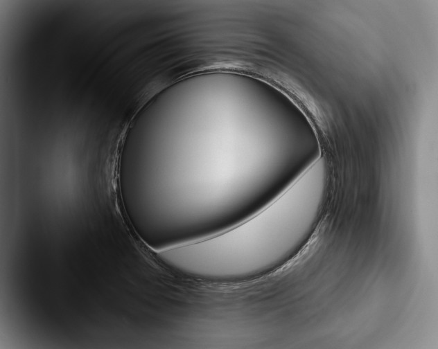 X0000088061377200705110905