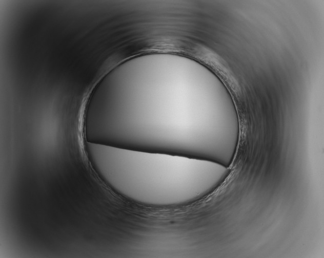 X0000088061378200705110905