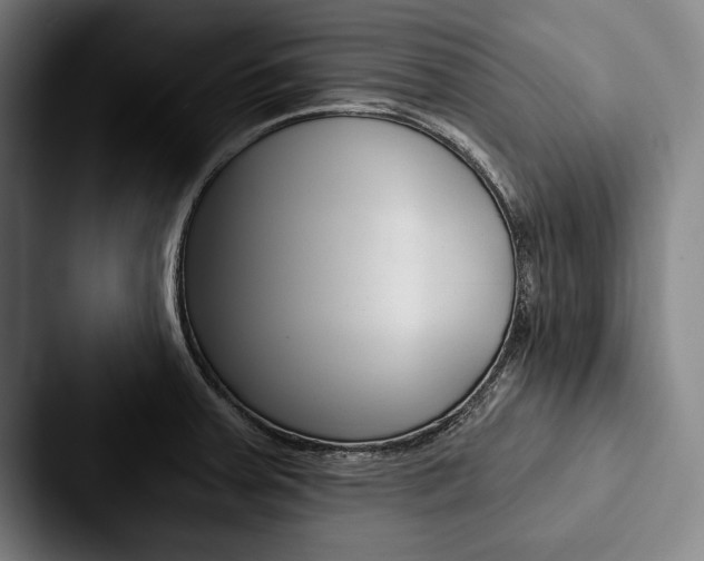 X0000088061379200705110905