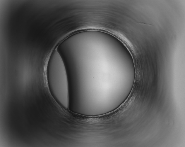X0000088061380200705110905