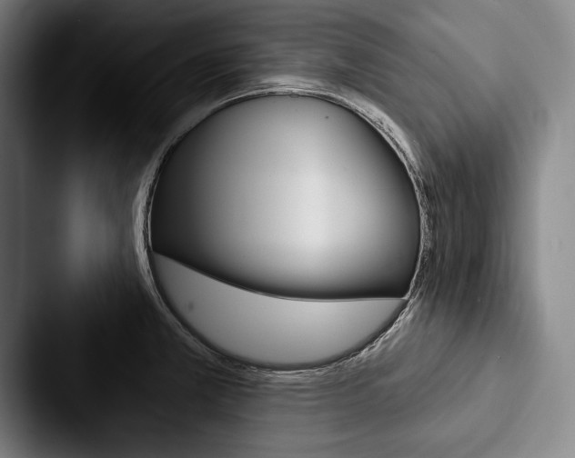 X0000088061381200705110905