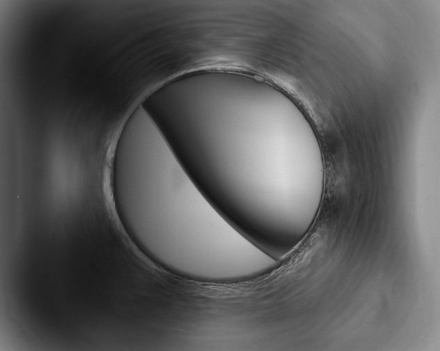 X0000088061383200705110905