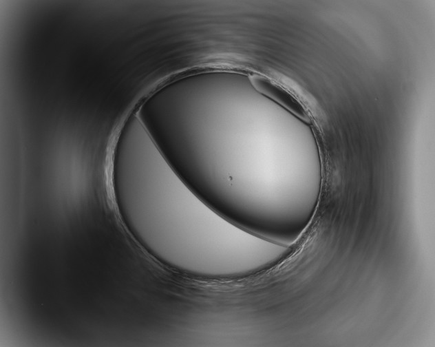 X0000088061384200705110905