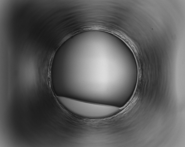 X0000088061385200705110905