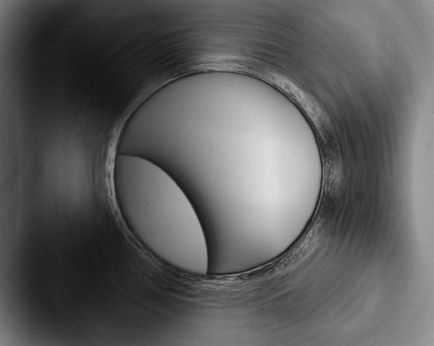 X0000088061386200705110905