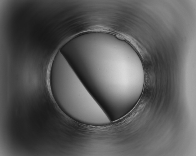 X0000088061387200705110905