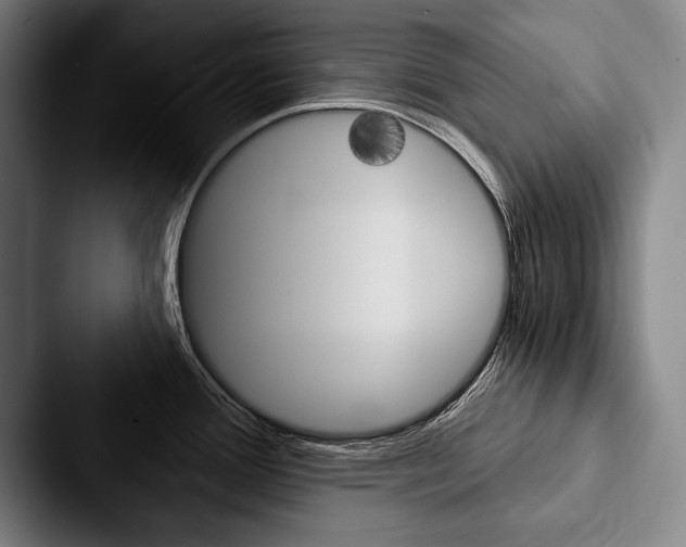 X0000088061388200705110905