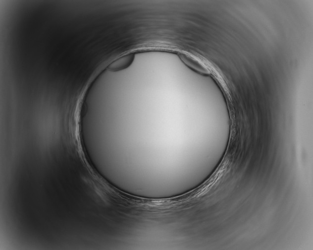 X0000088061390200705110905