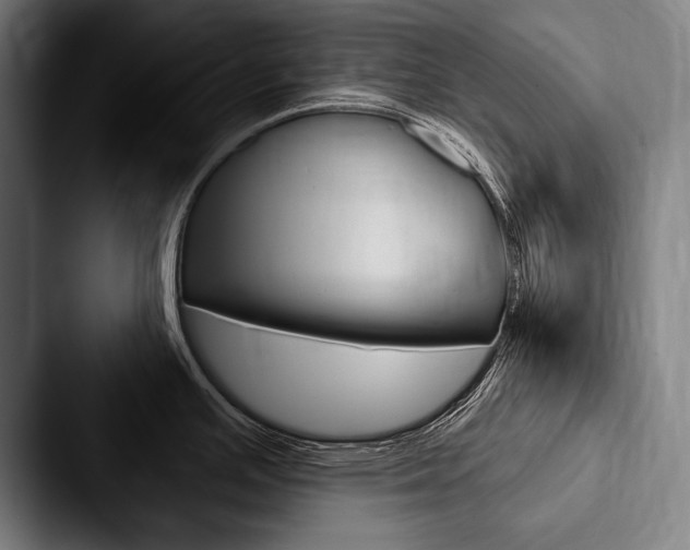 X0000088061391200705110905