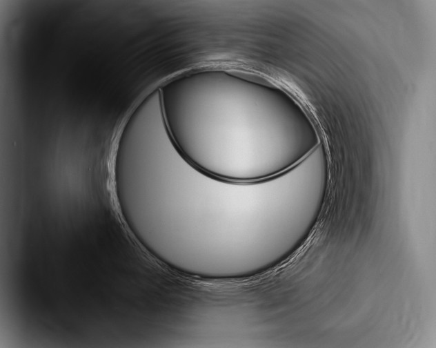 X0000088061392200705110905