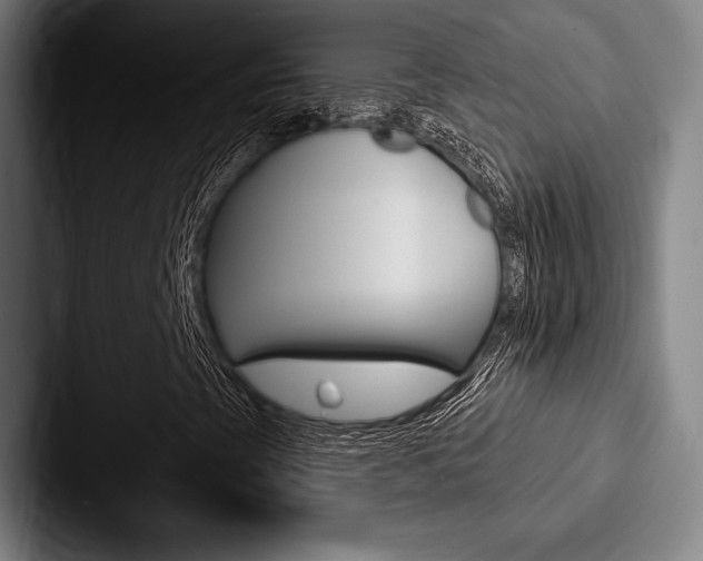 X0000088061393200705110904