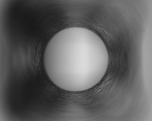 X0000088061394200705110904