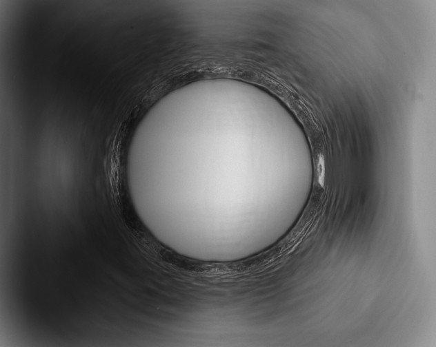 X0000088061395200705110904