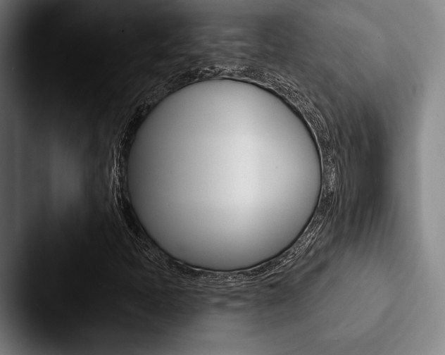 X0000088061397200705110904