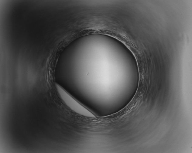 X0000088061398200705110904