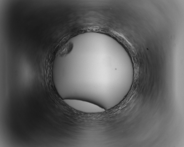 X0000088061399200705110904