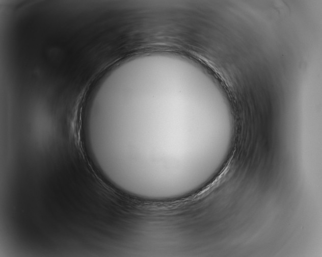 X0000088061402200705110904