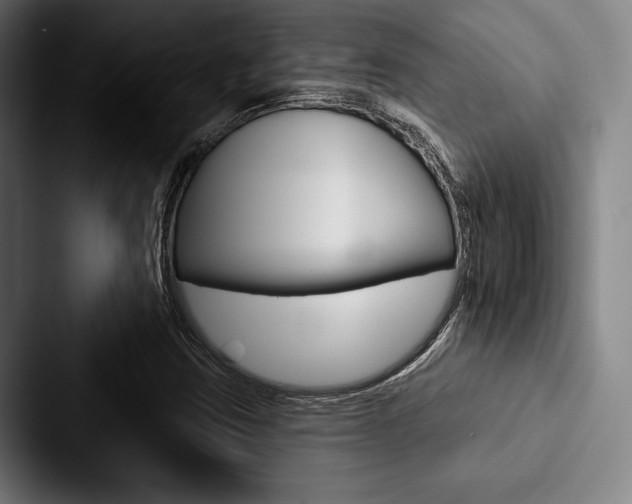 X0000088061403200705110904