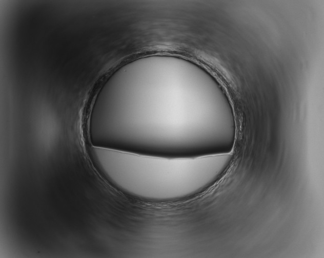 X0000088061404200705110904