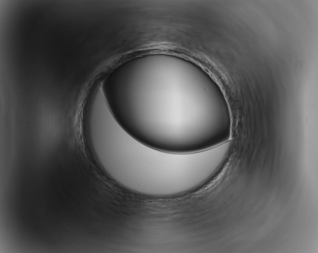 X0000088061406200705110904