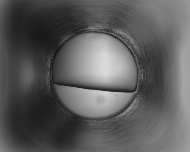 X0000088061409200705110904