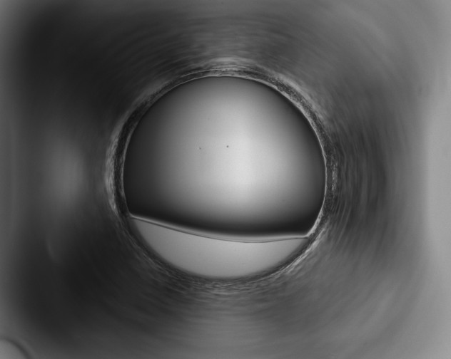 X0000088061410200705110904