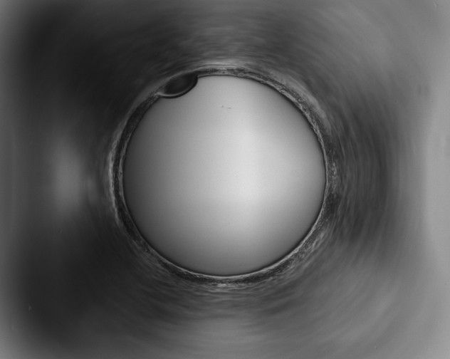 X0000088061412200705110904