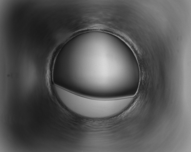 X0000088061414200705110904