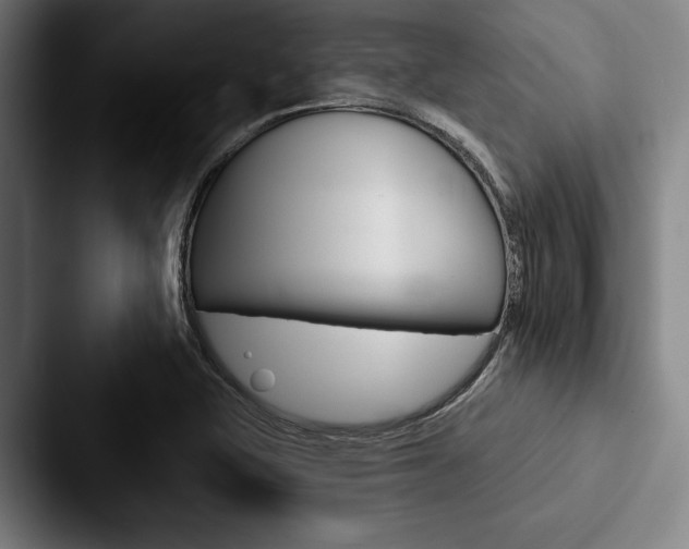 X0000088061415200705110904