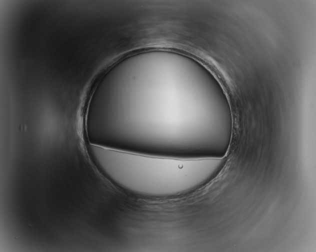 X0000088061416200705110904
