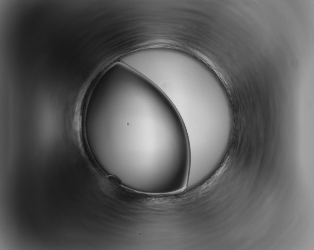 X0000088061418200705110904