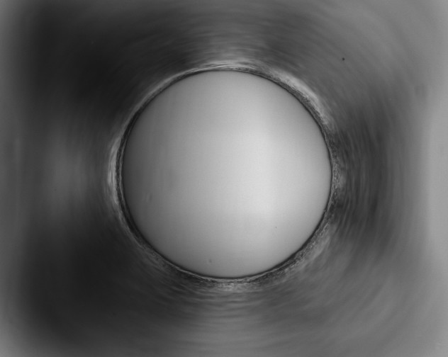 X0000088061423200705110905
