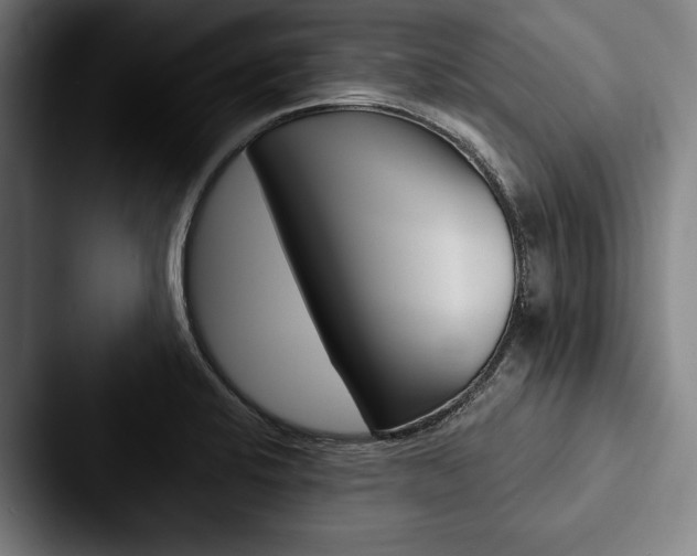 X0000088061424200705110905