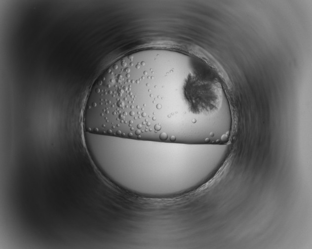 X0000088061425200705110905