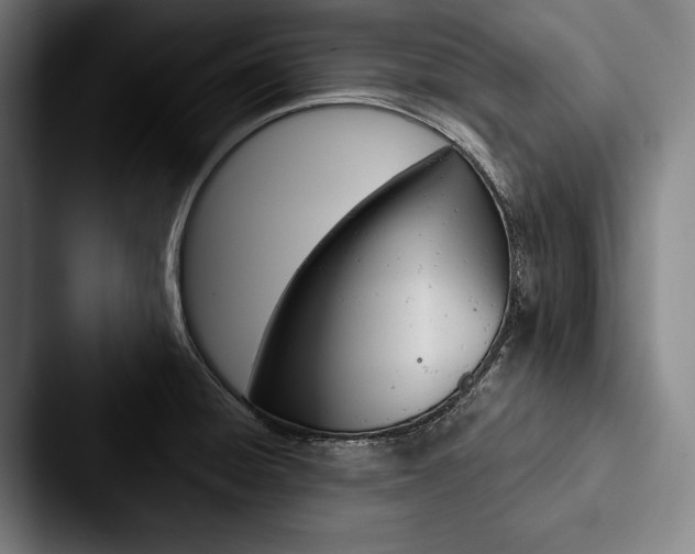 X0000088061428200705110905