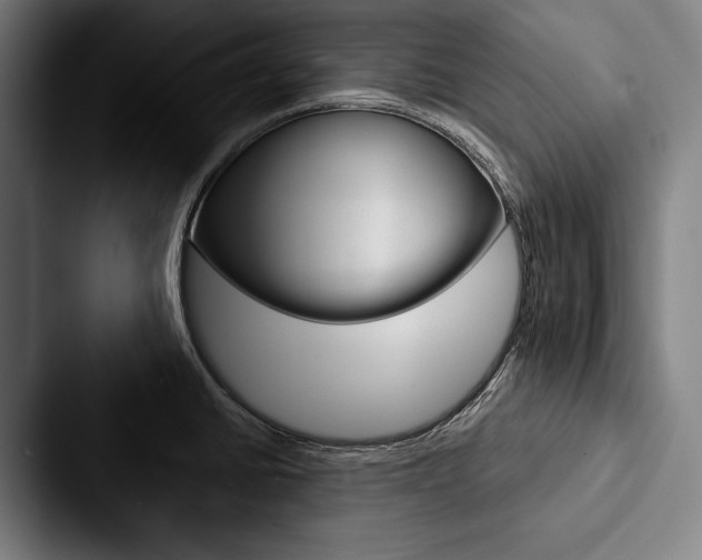 X0000088061430200705110905