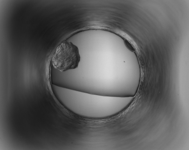 X0000088061431200705110905