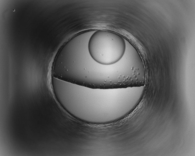 X0000088061432200705110905