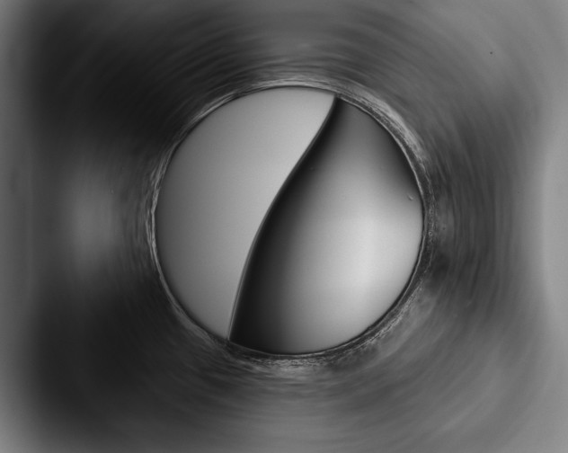 X0000088061433200705110905