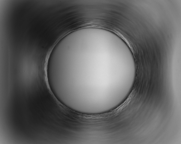 X0000088061434200705110905