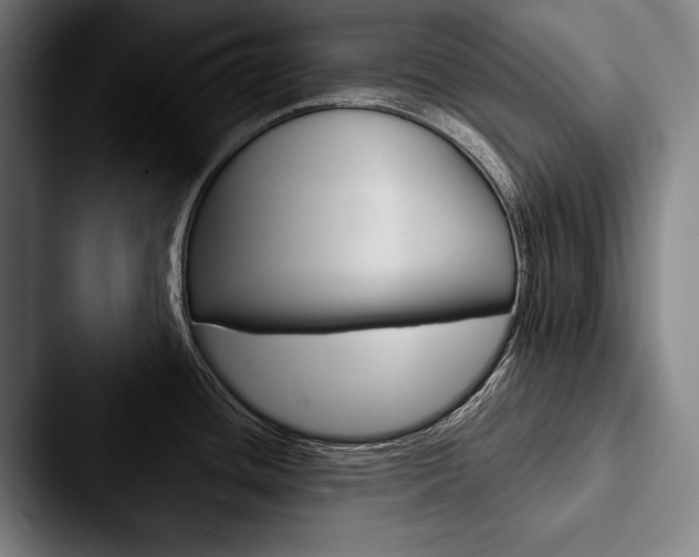 X0000088061436200705110905