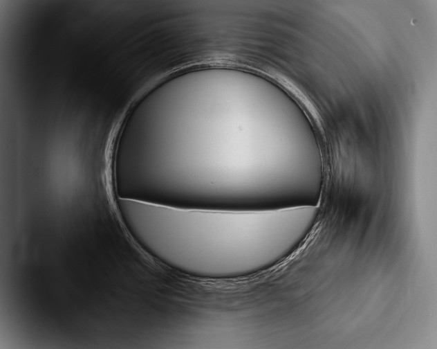 X0000088061437200705110905