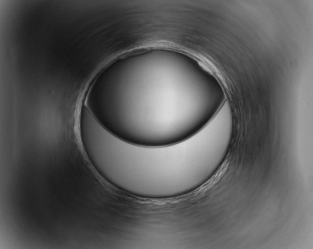 X0000088061438200705110905