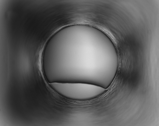 X0000088061439200705110905