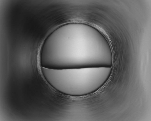 X0000088061440200705110905