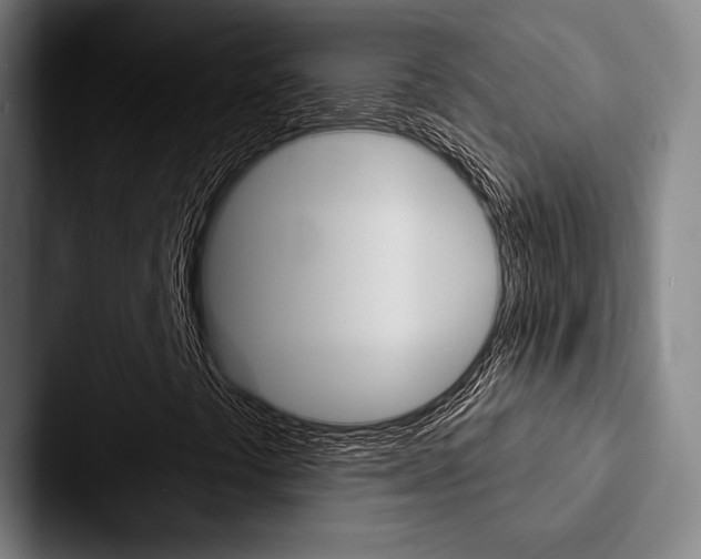 X0000088061441200705110904