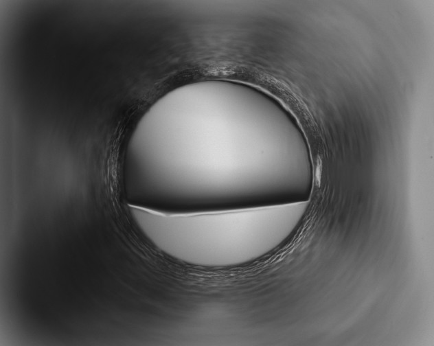 X0000088061444200705110904