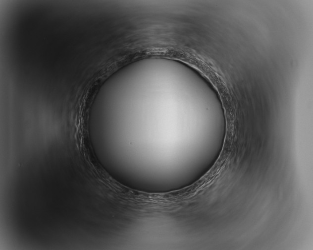 X0000088061445200705110904